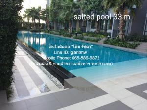 ให้เช่าคอนโด “คิว เฮ้าส์ คอนโด สุขุมวิท 79 (Q.House Condo Sukhumvit 79)” BTS อ่อนนุช (ชั้น 7, 59.71 ตร.ม. 2 น 2 น้ำ, ราคา 35,000 บาท/เดือน ภาพที่ 3