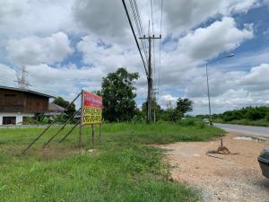 ให้เช่าที่ดินสวย 1-3-84 ไร่ ถมแล้ว ล้อมรั้ว 3 ด้าน   ทำเลดี แยกโพธิ์เก้าต้น ลพบุรี   ZN634 ภาพที่ 2